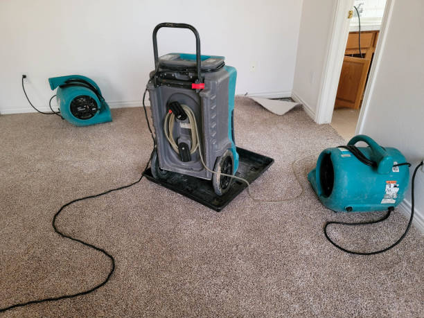 Best Sewage cleanup and water damage restoration  in Stonewood, WV