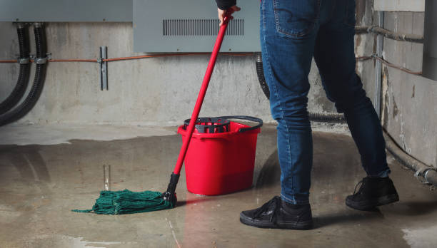 Best Commercial water damage restoration  in Stonewood, WV