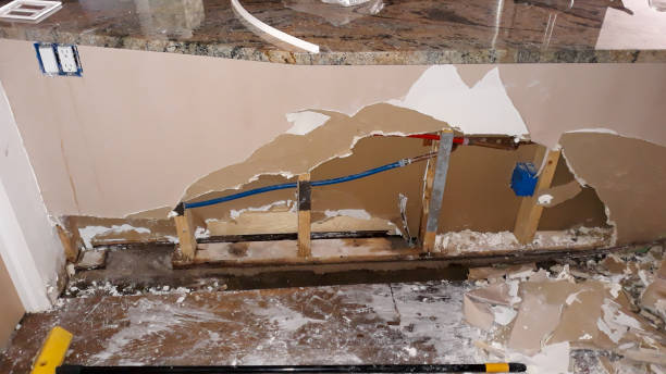Best Water damage cleanup near me  in Stonewood, WV