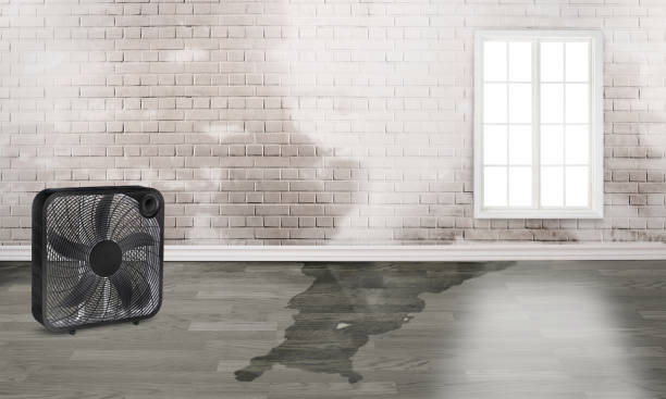 Best Fire Damage Restoration  in Stonewood, WV
