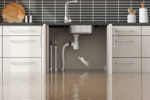 Best Residential water damage restoration  in Stonewood, WV