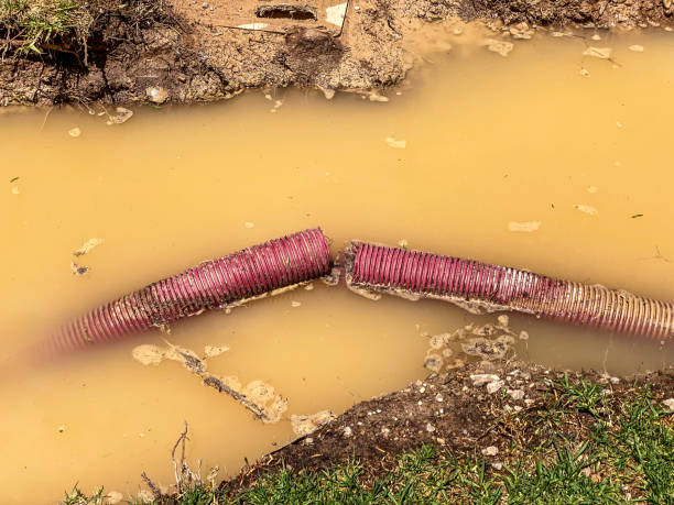 Best Water damage restoration near me  in Stonewood, WV