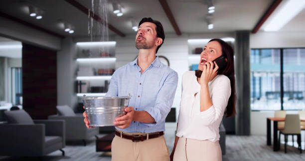 Best Water damage restoration experts  in Stonewood, WV