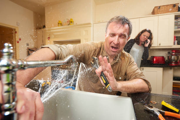 Best Fire Damage Restoration  in Stonewood, WV